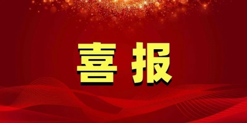 喜報！綠威環(huán)保榮獲中華環(huán)保聯合會科技進步一等獎